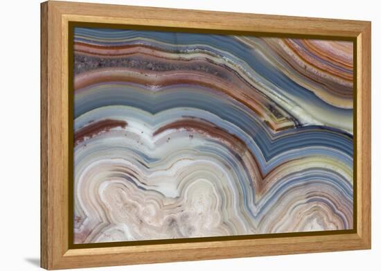 Banded Agate, Sammamish, Washington-Darrell Gulin-Framed Premier Image Canvas