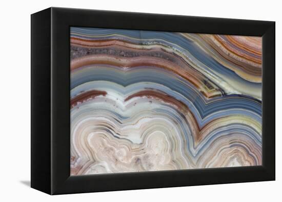 Banded Agate, Sammamish, Washington-Darrell Gulin-Framed Premier Image Canvas