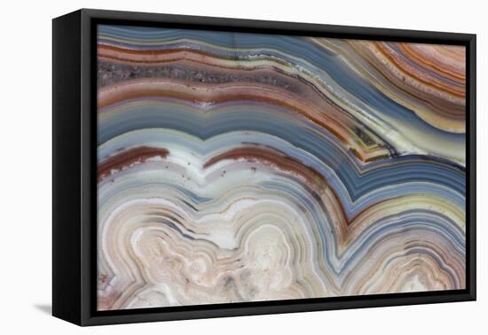 Banded Agate, Sammamish, Washington-Darrell Gulin-Framed Premier Image Canvas