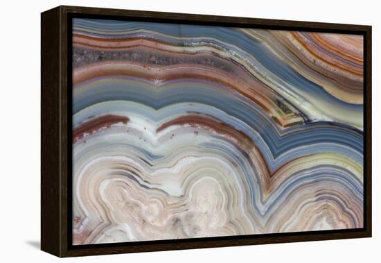 Banded Agate, Sammamish, Washington-Darrell Gulin-Framed Premier Image Canvas