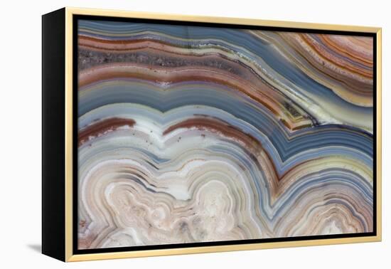 Banded Agate, Sammamish, Washington-Darrell Gulin-Framed Premier Image Canvas