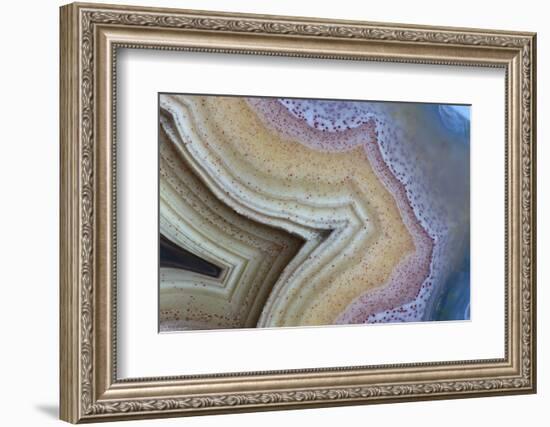 Banded Agate, Sammamish, Washington-Darrell Gulin-Framed Photographic Print