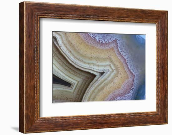 Banded Agate, Sammamish, Washington-Darrell Gulin-Framed Photographic Print