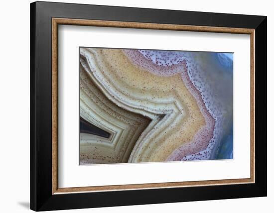 Banded Agate, Sammamish, Washington-Darrell Gulin-Framed Photographic Print