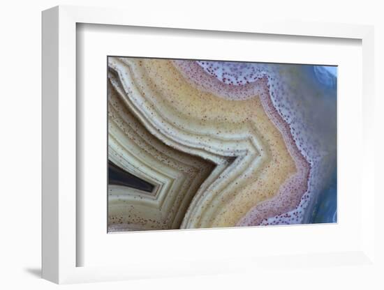 Banded Agate, Sammamish, Washington-Darrell Gulin-Framed Photographic Print