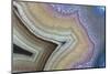 Banded Agate, Sammamish, Washington-Darrell Gulin-Mounted Photographic Print