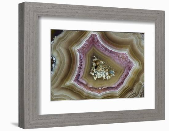 Banded Mexican Agate, Sammamish, WA-Darrell Gulin-Framed Photographic Print