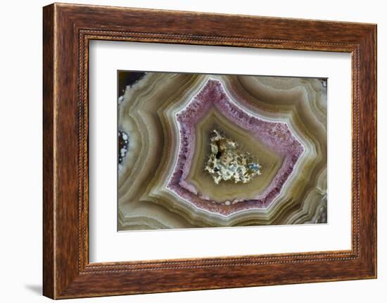 Banded Mexican Agate, Sammamish, WA-Darrell Gulin-Framed Photographic Print