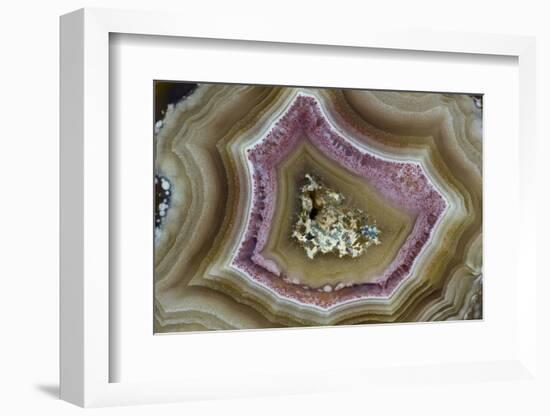 Banded Mexican Agate, Sammamish, WA-Darrell Gulin-Framed Photographic Print