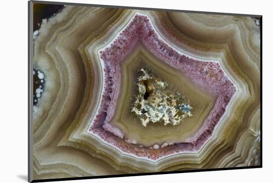 Banded Mexican Agate, Sammamish, WA-Darrell Gulin-Mounted Photographic Print