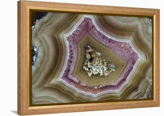 Banded Mexican Agate, Sammamish, WA-Darrell Gulin-Framed Premier Image Canvas