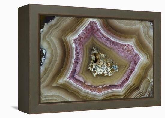 Banded Mexican Agate, Sammamish, WA-Darrell Gulin-Framed Premier Image Canvas