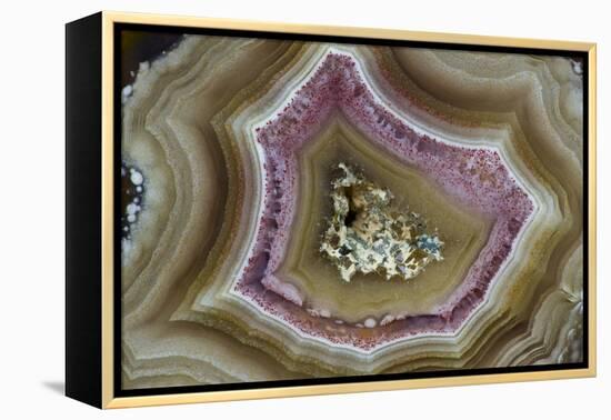 Banded Mexican Agate, Sammamish, WA-Darrell Gulin-Framed Premier Image Canvas