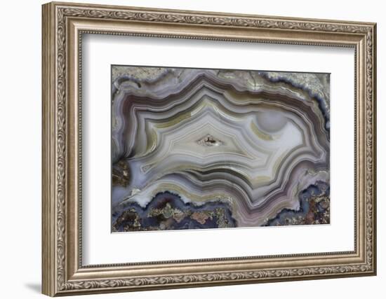 Banded Mexican Agate, Sammamish, WA-Darrell Gulin-Framed Photographic Print