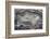 Banded Mexican Agate, Sammamish, WA-Darrell Gulin-Framed Photographic Print