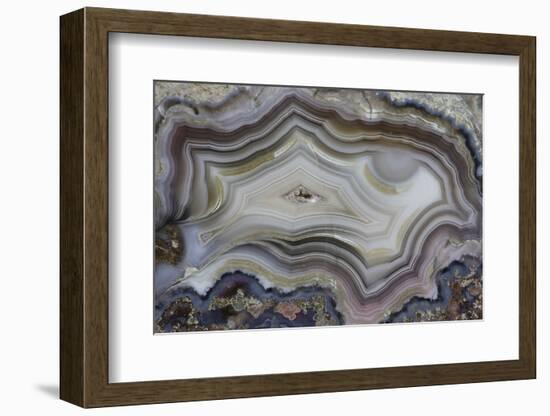 Banded Mexican Agate, Sammamish, WA-Darrell Gulin-Framed Photographic Print