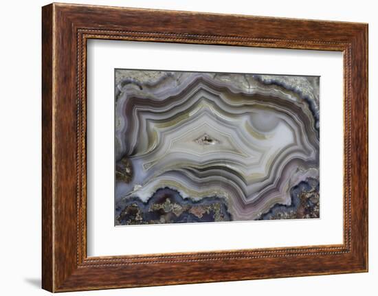 Banded Mexican Agate, Sammamish, WA-Darrell Gulin-Framed Photographic Print