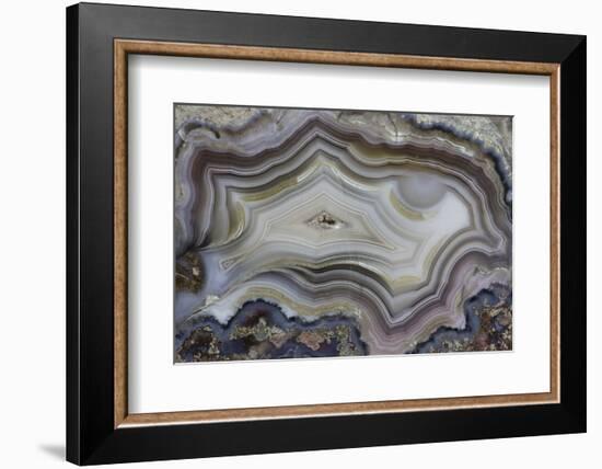 Banded Mexican Agate, Sammamish, WA-Darrell Gulin-Framed Photographic Print