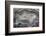 Banded Mexican Agate, Sammamish, WA-Darrell Gulin-Framed Photographic Print