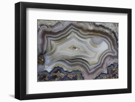 Banded Mexican Agate, Sammamish, WA-Darrell Gulin-Framed Photographic Print