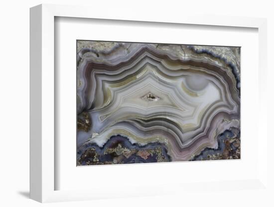 Banded Mexican Agate, Sammamish, WA-Darrell Gulin-Framed Photographic Print