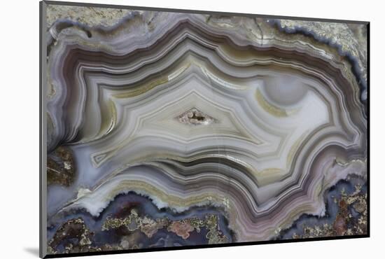 Banded Mexican Agate, Sammamish, WA-Darrell Gulin-Mounted Photographic Print