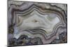 Banded Mexican Agate, Sammamish, WA-Darrell Gulin-Mounted Photographic Print