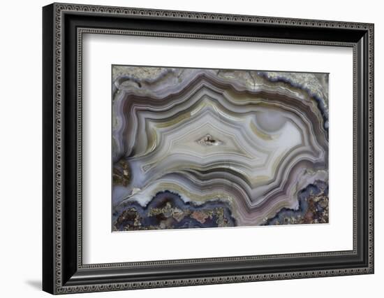 Banded Mexican Agate, Sammamish, WA-Darrell Gulin-Framed Photographic Print