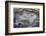 Banded Mexican Agate, Sammamish, WA-Darrell Gulin-Framed Photographic Print