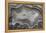 Banded Mexican Agate, Sammamish, WA-Darrell Gulin-Framed Premier Image Canvas