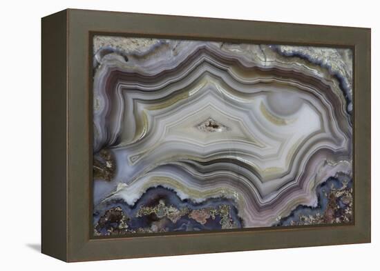 Banded Mexican Agate, Sammamish, WA-Darrell Gulin-Framed Premier Image Canvas