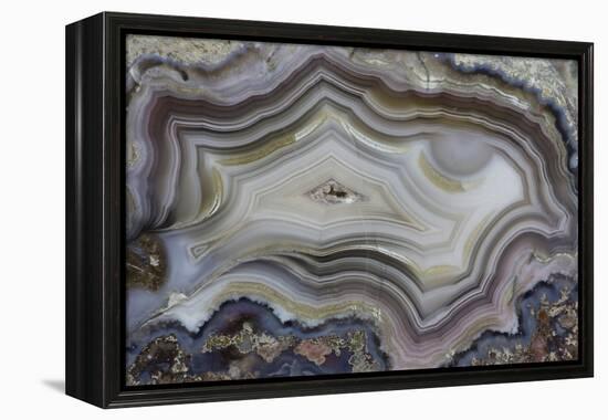 Banded Mexican Agate, Sammamish, WA-Darrell Gulin-Framed Premier Image Canvas