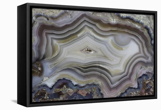 Banded Mexican Agate, Sammamish, WA-Darrell Gulin-Framed Premier Image Canvas