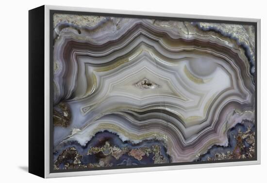 Banded Mexican Agate, Sammamish, WA-Darrell Gulin-Framed Premier Image Canvas