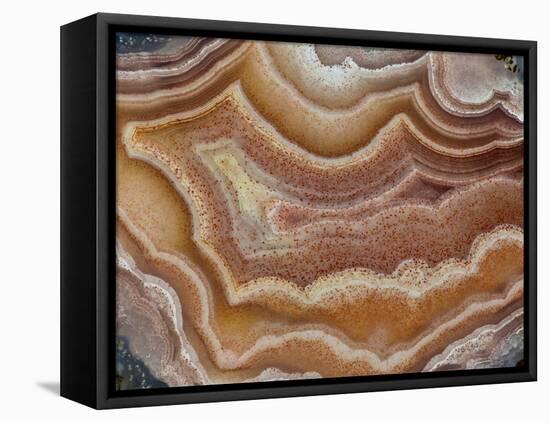 Banded Mexican Agate, Sammamish, WA-Darrell Gulin-Framed Premier Image Canvas