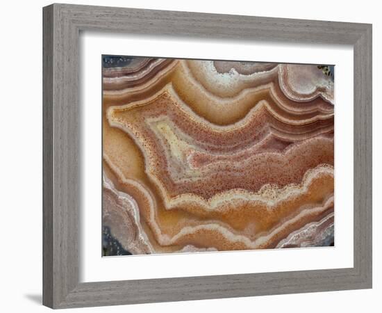 Banded Mexican Agate, Sammamish, WA-Darrell Gulin-Framed Photographic Print