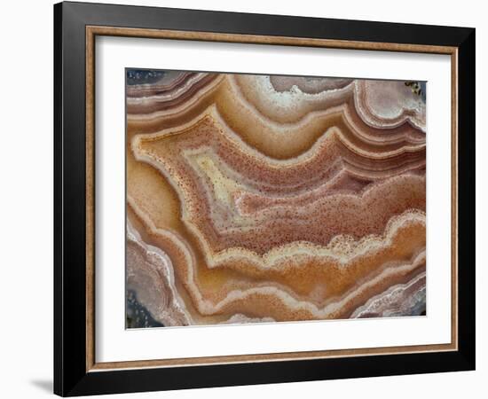 Banded Mexican Agate, Sammamish, WA-Darrell Gulin-Framed Photographic Print