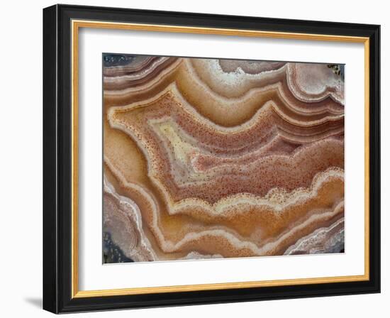 Banded Mexican Agate, Sammamish, WA-Darrell Gulin-Framed Photographic Print