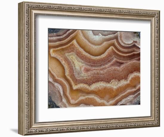 Banded Mexican Agate, Sammamish, WA-Darrell Gulin-Framed Photographic Print