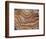 Banded Mexican Agate, Sammamish, WA-Darrell Gulin-Framed Photographic Print