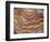 Banded Mexican Agate, Sammamish, WA-Darrell Gulin-Framed Photographic Print