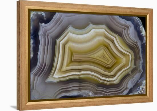 Banded Mexican Agate, Sammamish, WA-Darrell Gulin-Framed Premier Image Canvas