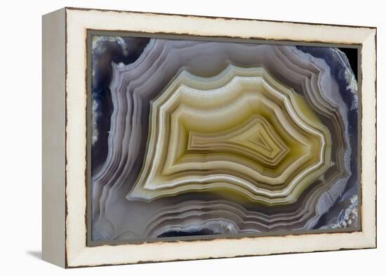 Banded Mexican Agate, Sammamish, WA-Darrell Gulin-Framed Premier Image Canvas