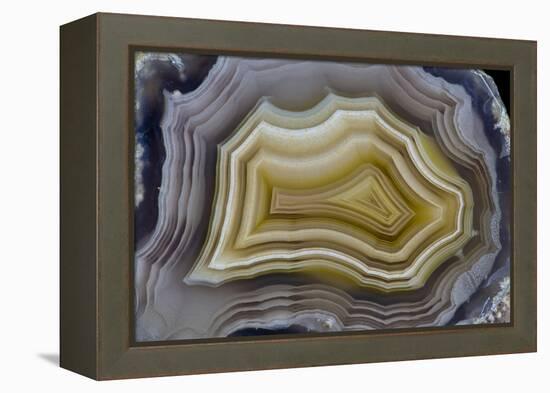 Banded Mexican Agate, Sammamish, WA-Darrell Gulin-Framed Premier Image Canvas