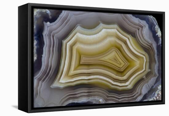 Banded Mexican Agate, Sammamish, WA-Darrell Gulin-Framed Premier Image Canvas