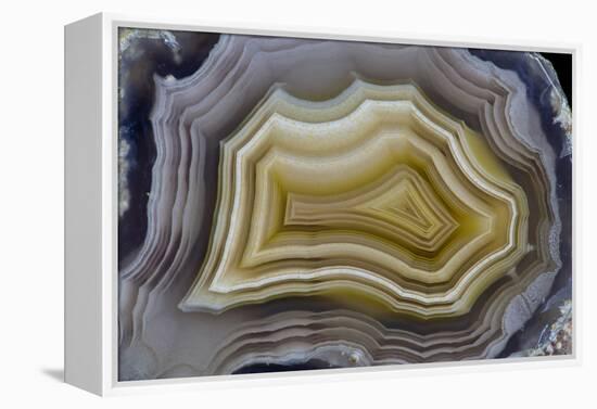 Banded Mexican Agate, Sammamish, WA-Darrell Gulin-Framed Premier Image Canvas