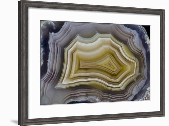 Banded Mexican Agate, Sammamish, WA-Darrell Gulin-Framed Premium Photographic Print