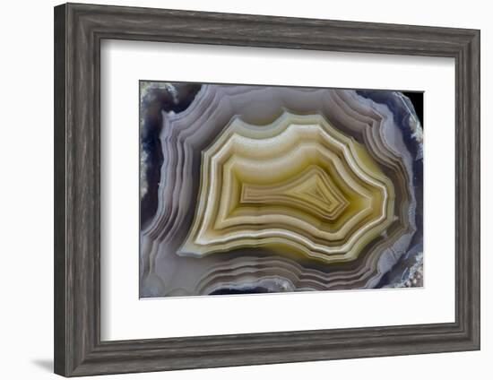 Banded Mexican Agate, Sammamish, WA-Darrell Gulin-Framed Photographic Print