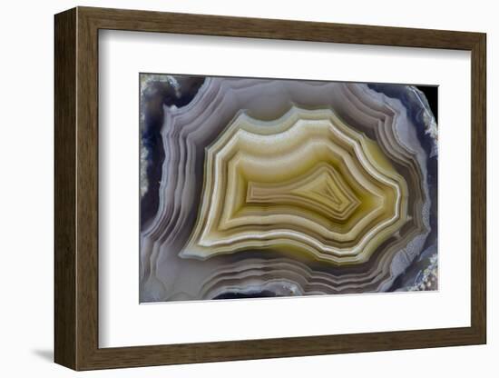 Banded Mexican Agate, Sammamish, WA-Darrell Gulin-Framed Photographic Print