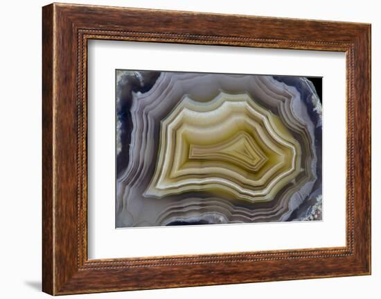 Banded Mexican Agate, Sammamish, WA-Darrell Gulin-Framed Photographic Print